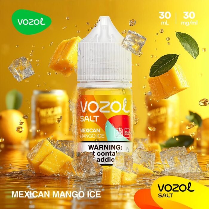 VOZOL SALTNIC 30ml