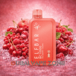 elf bar bc 10000 price uae